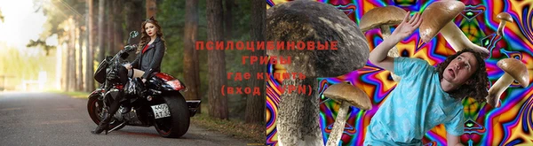 марихуана Новозыбков