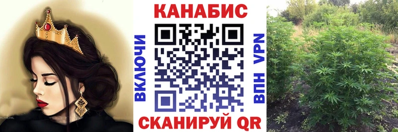 МАРИХУАНА план Пионерский
